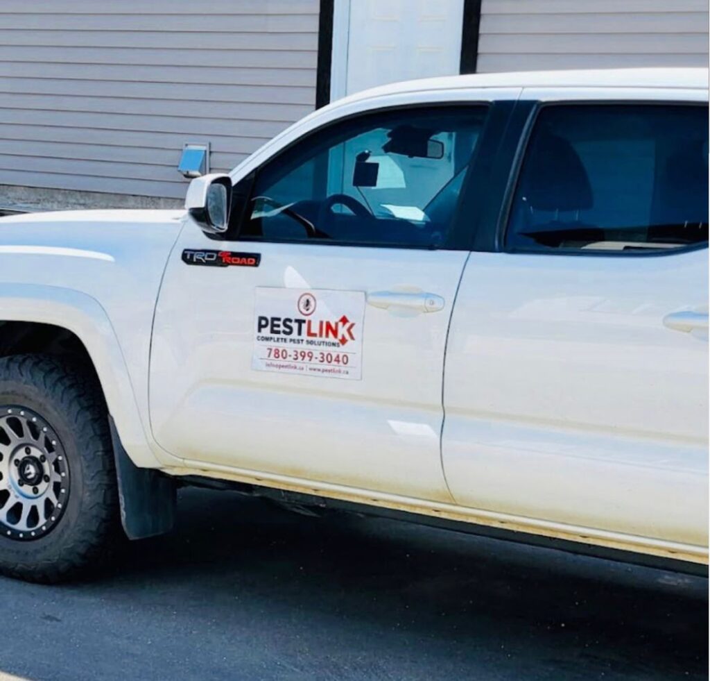 pestlink pest control calgary