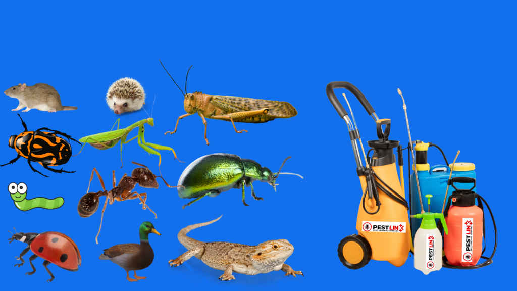 pestlink pest control